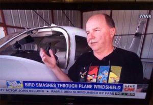 Pájaro se estrella en el parabrisas del avión