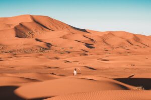 person in white shirt walking on desert